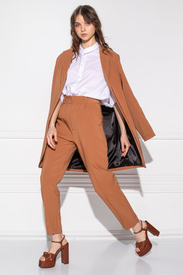 Sinus color casual brown trousers
